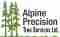BVS LOGO
