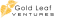 BVS LOGO